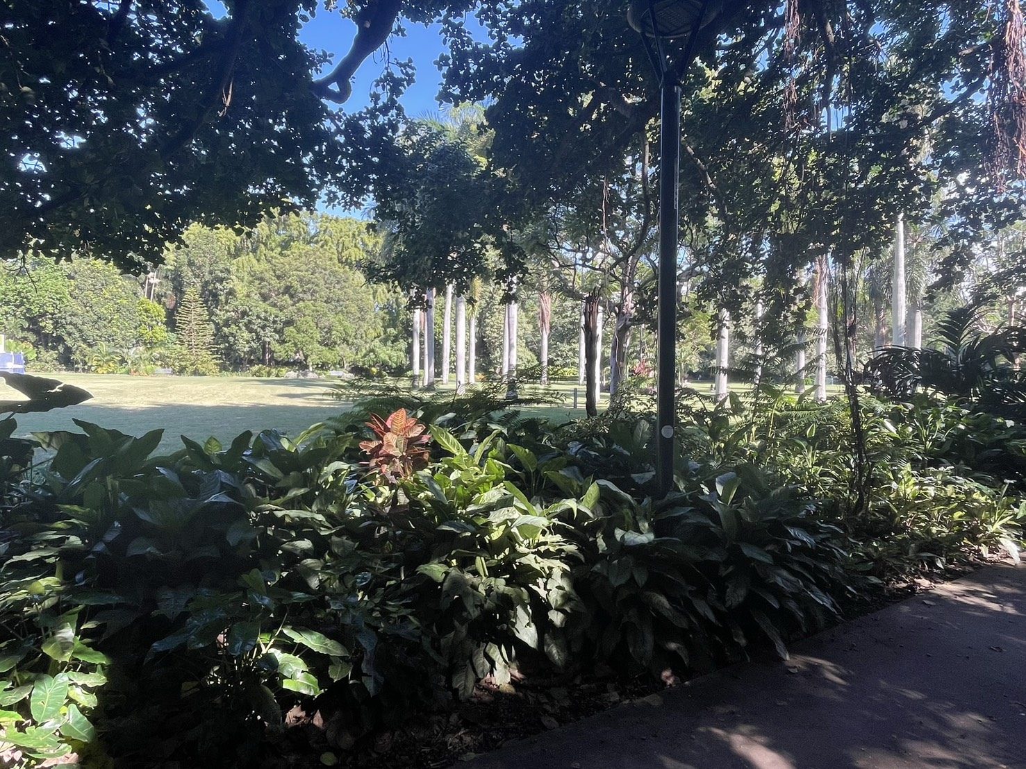 ブリスベンの植物園
